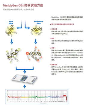 全染色体分析为试管婴儿技术提供更可靠的支持