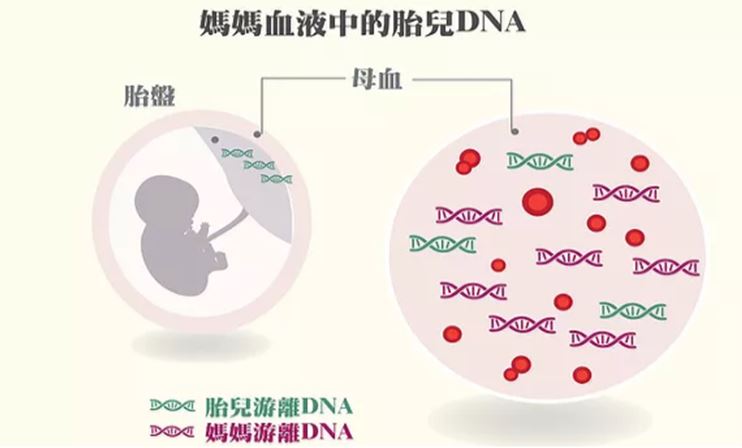 香港供卵助孕包成功-唐氏综合症的筛查方法在男性和女性中是否准确？