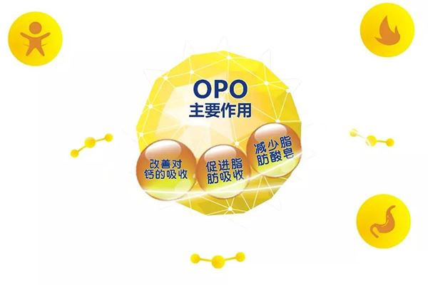 40% opo是黄金比例