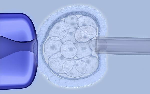 新乡助孕机构40万起-日本的试管婴儿技术是否成熟？