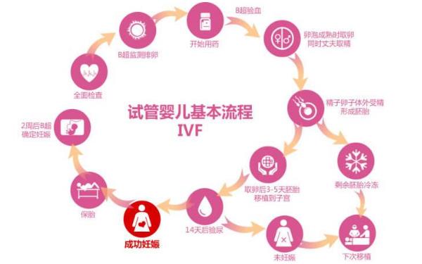 新乡助孕机构40万起-日本的试管婴儿技术是否成熟？